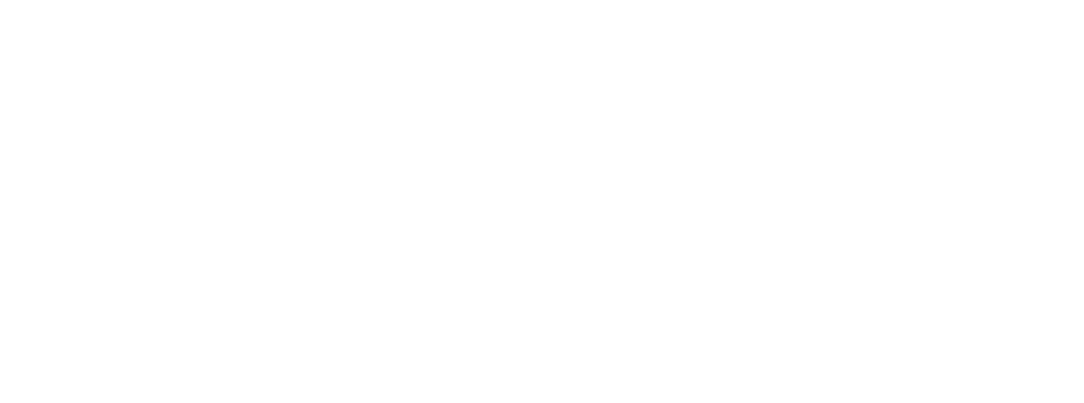 Logo of Lightning Bolt Photography